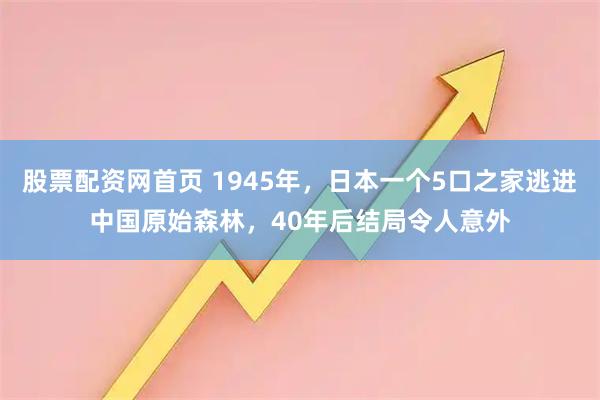 股票配资网首页 1945年，日本一个5口之家逃进中国原始森林，40年后结局令人意外