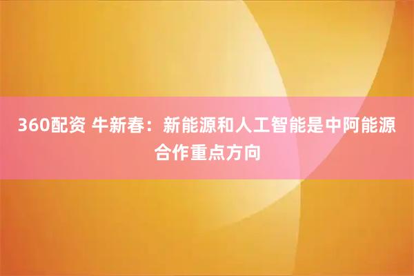 360配资 牛新春：新能源和人工智能是中阿能源合作重点方向